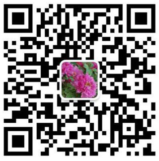 扫描关注网站微信公众账号